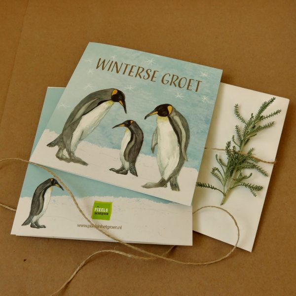 Winterse groet - Pinguins