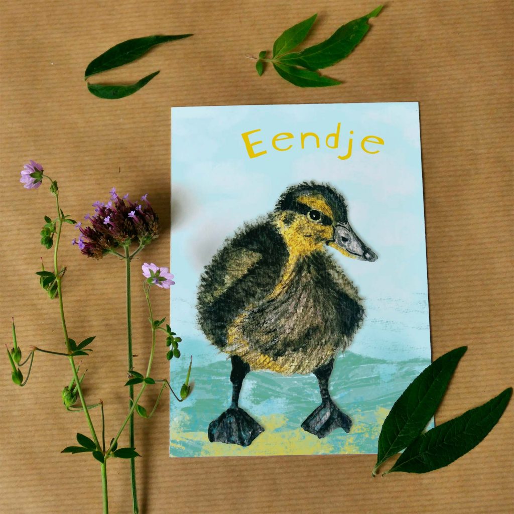 Kaart eendje