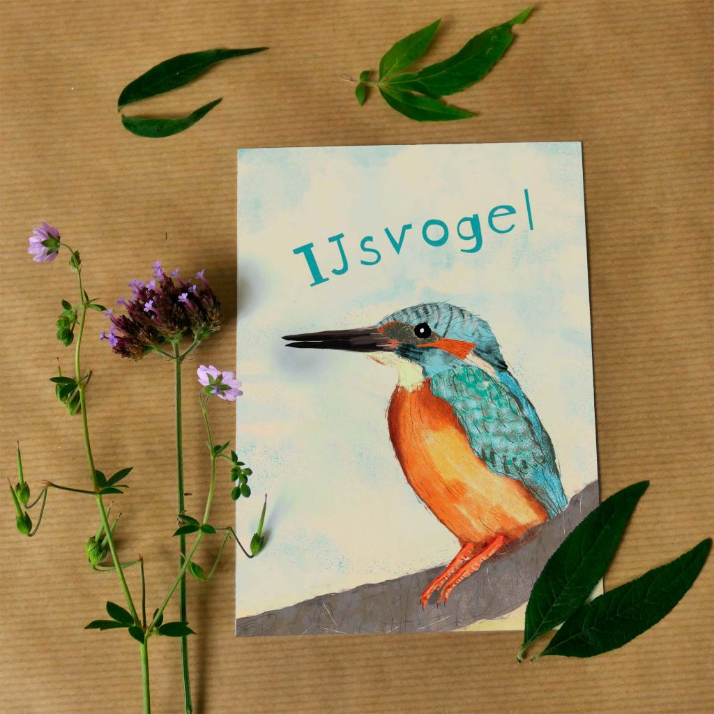 Kaart ijsvogel
