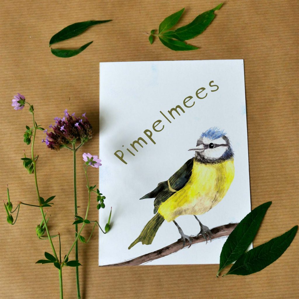 Kaart pimpelmees