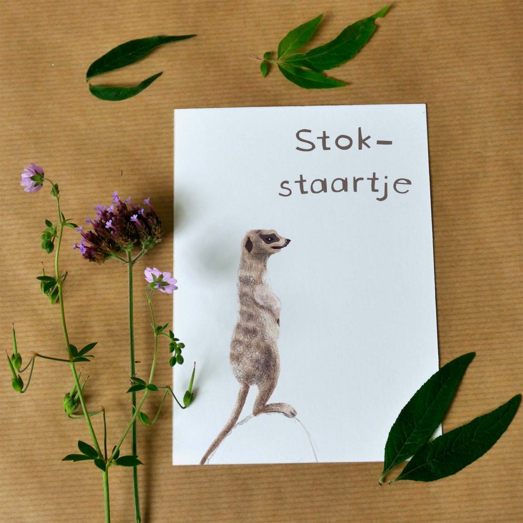 Kaart stokstaartje