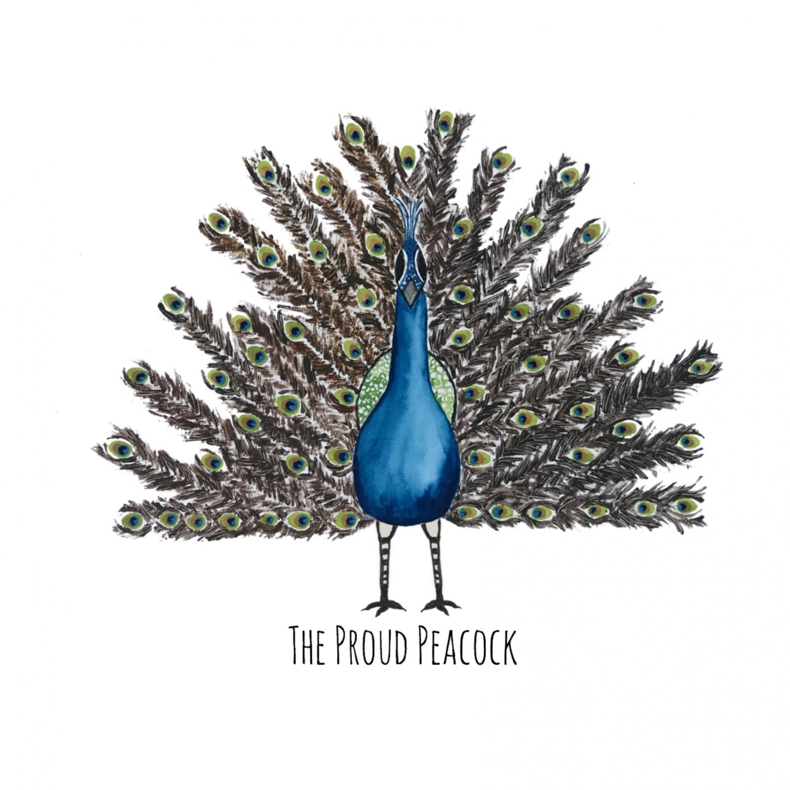 The Proud Peacock