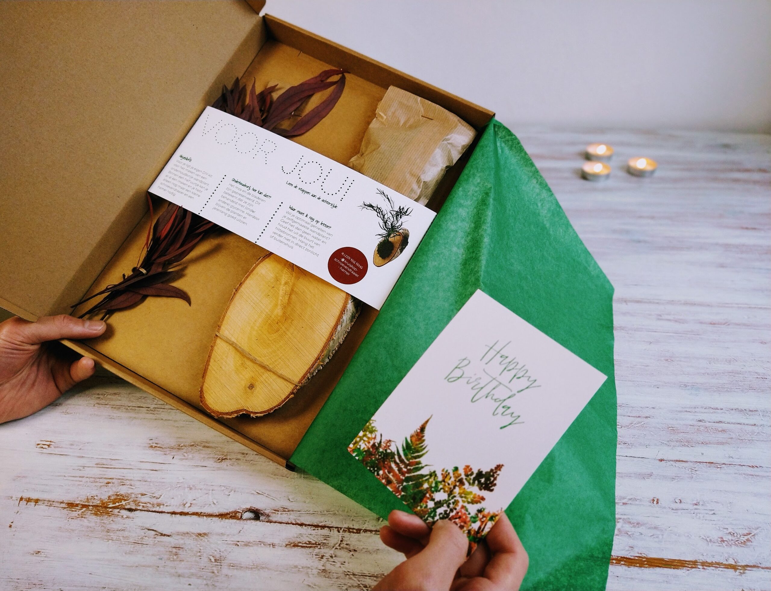 getrouwd Afscheiden China DIY-kit voor een zorgvrije wandplant | brievenbuscadeau - Handwerkmarkt