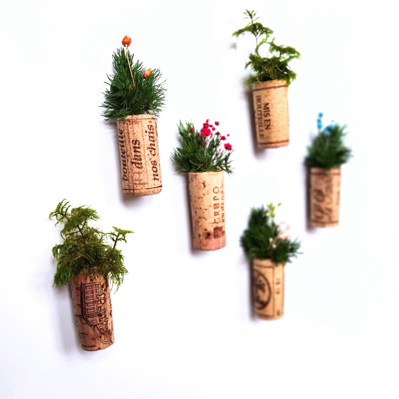 Allergisch kalf band Koelkastmagneten met gepreserveerde planten | groen en duurzaam  brievenbuscadeau - Handwerkmarkt
