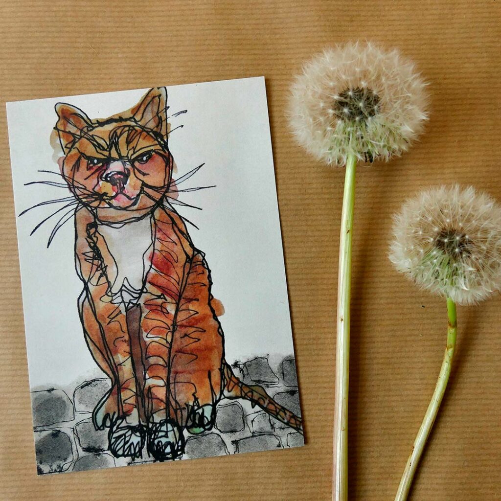 A6 kaart ingekleurde lijntekening Kat