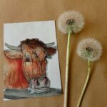 A6 kaart ingekleurde lijntekening Koe