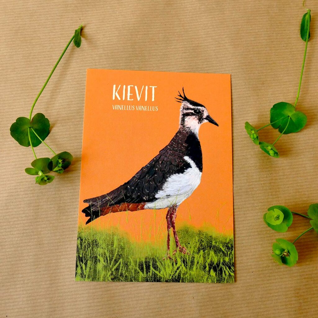 A6 kaart Kievit