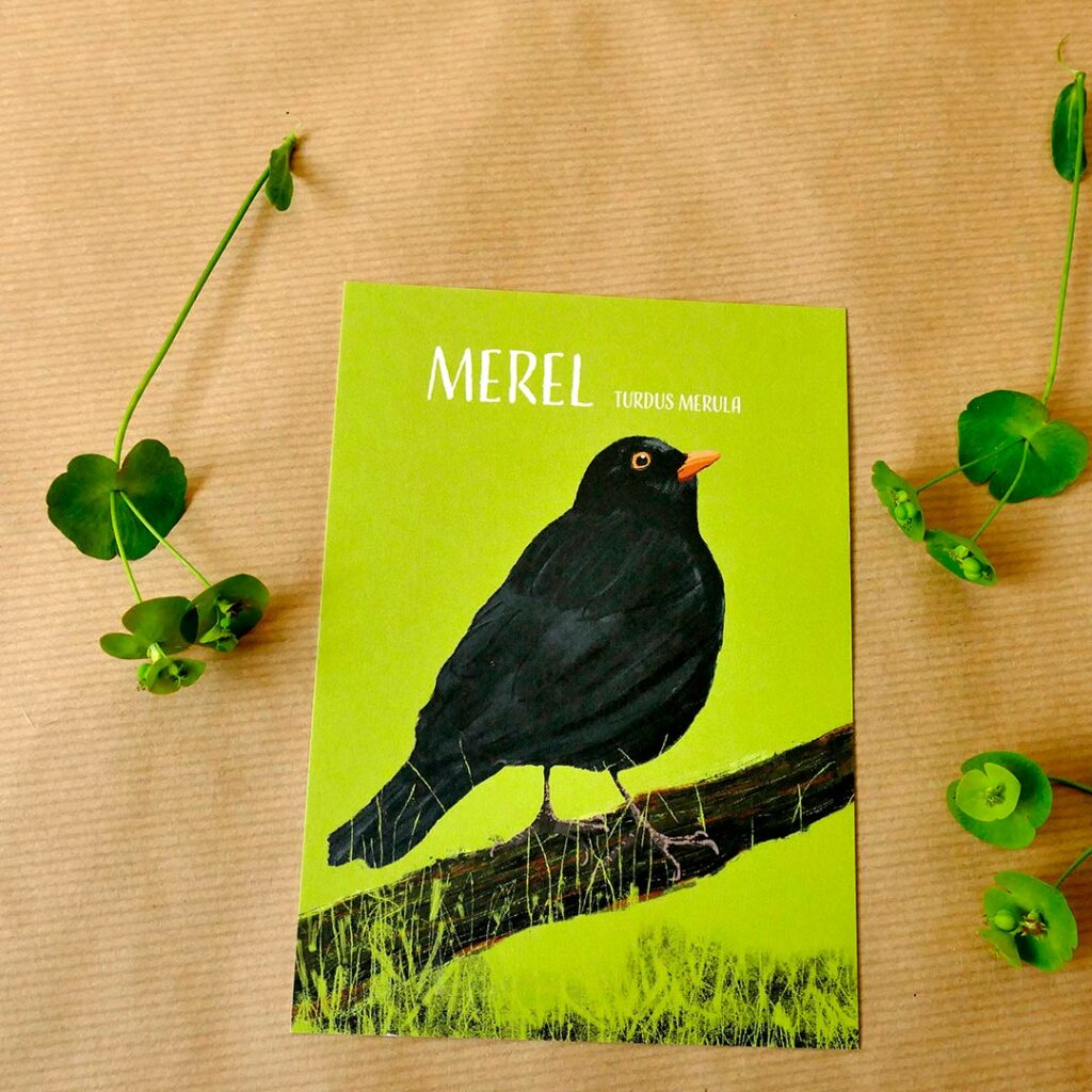 A6 kaart Merelmannetje