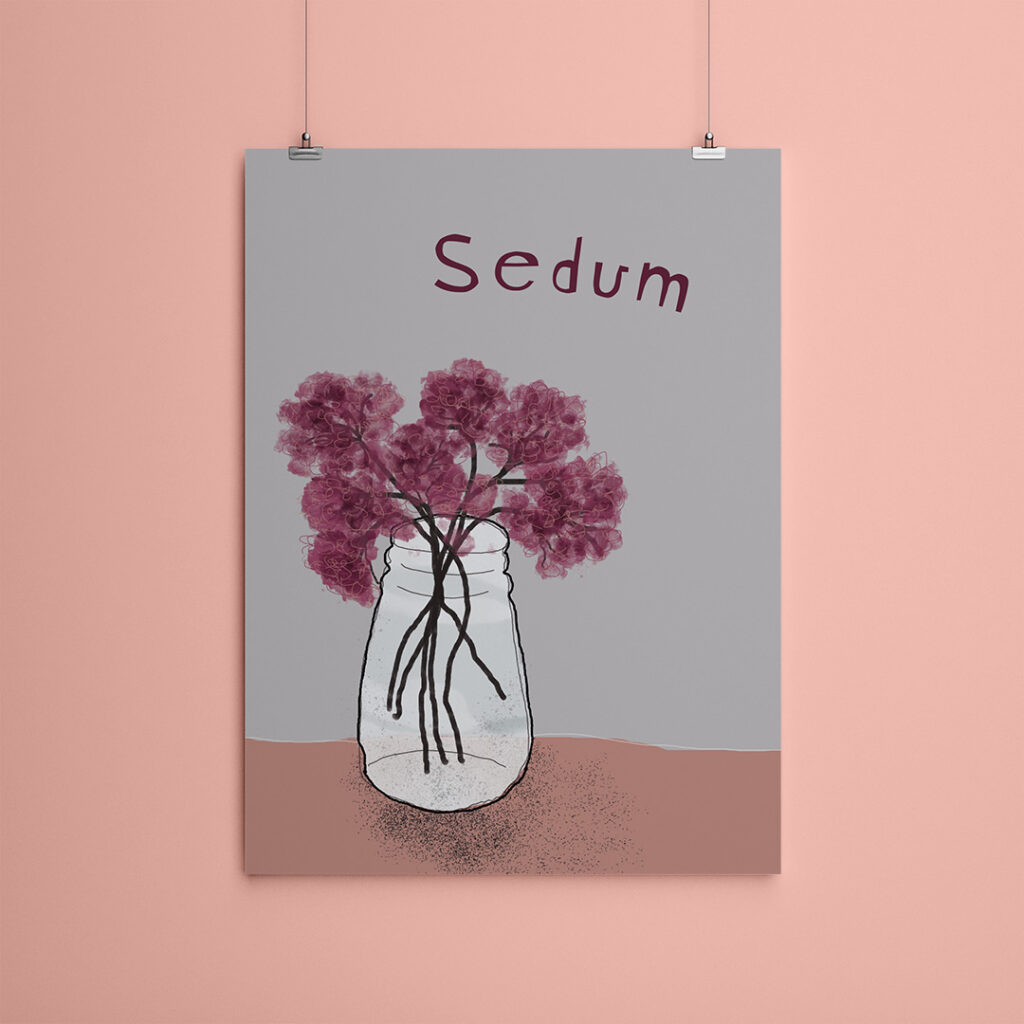 Miniposter A5 Sedum