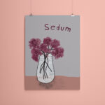 Miniposter A5 Sedum
