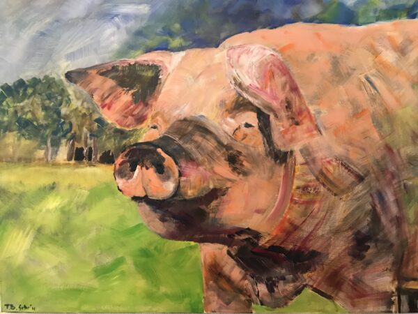 Het Helder varken arcrylschilderij 80 x 60 cm