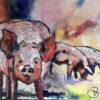 Het Helder varken arcrylschilderij 80 x 60 cm