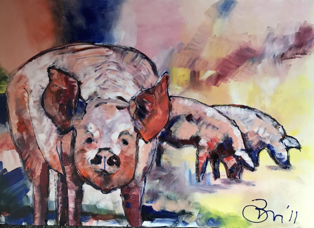 Het Helder varken arcrylschilderij 80 x 60 cm