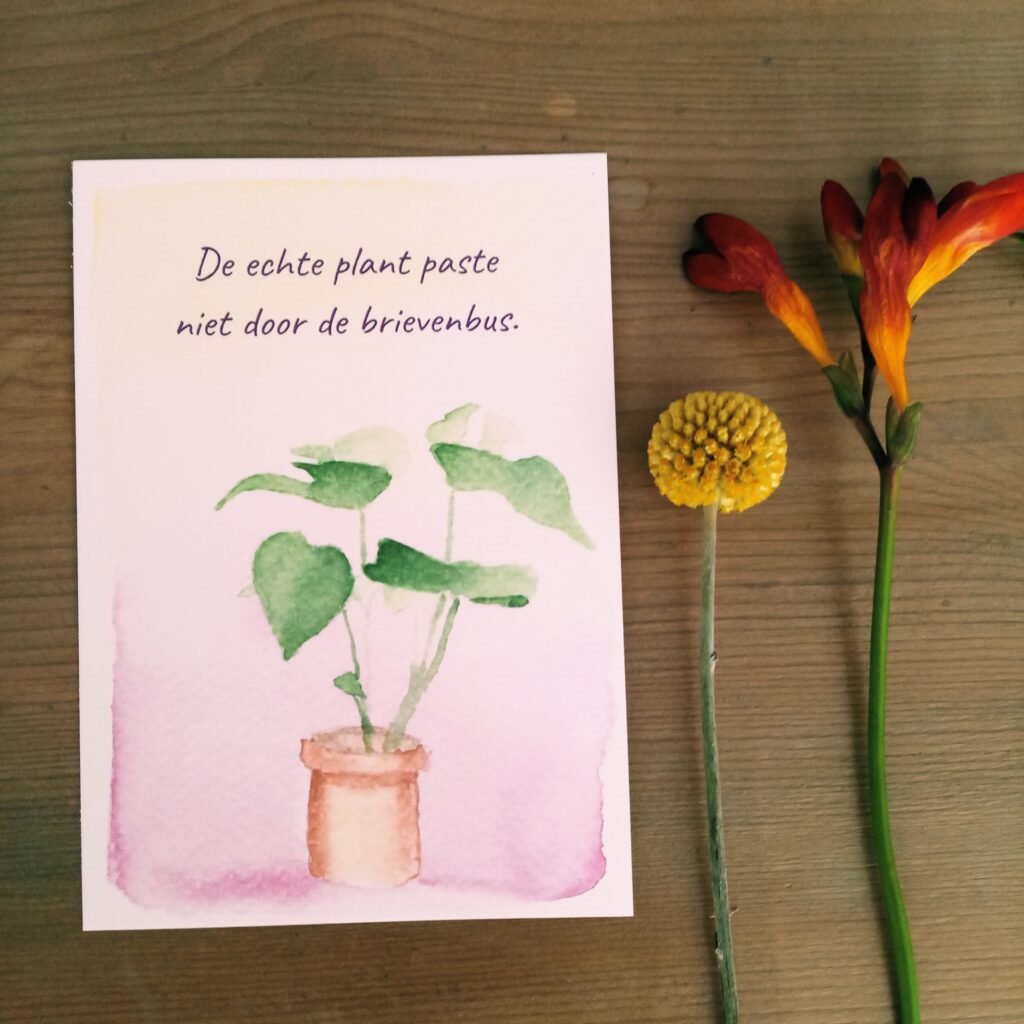 JoriekesFrutsels Plantenkaart