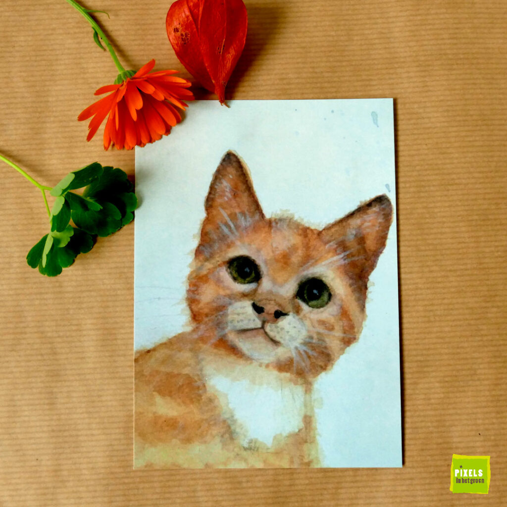 Wenskaart Kitten