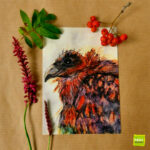 Wenskaart Roofvogel