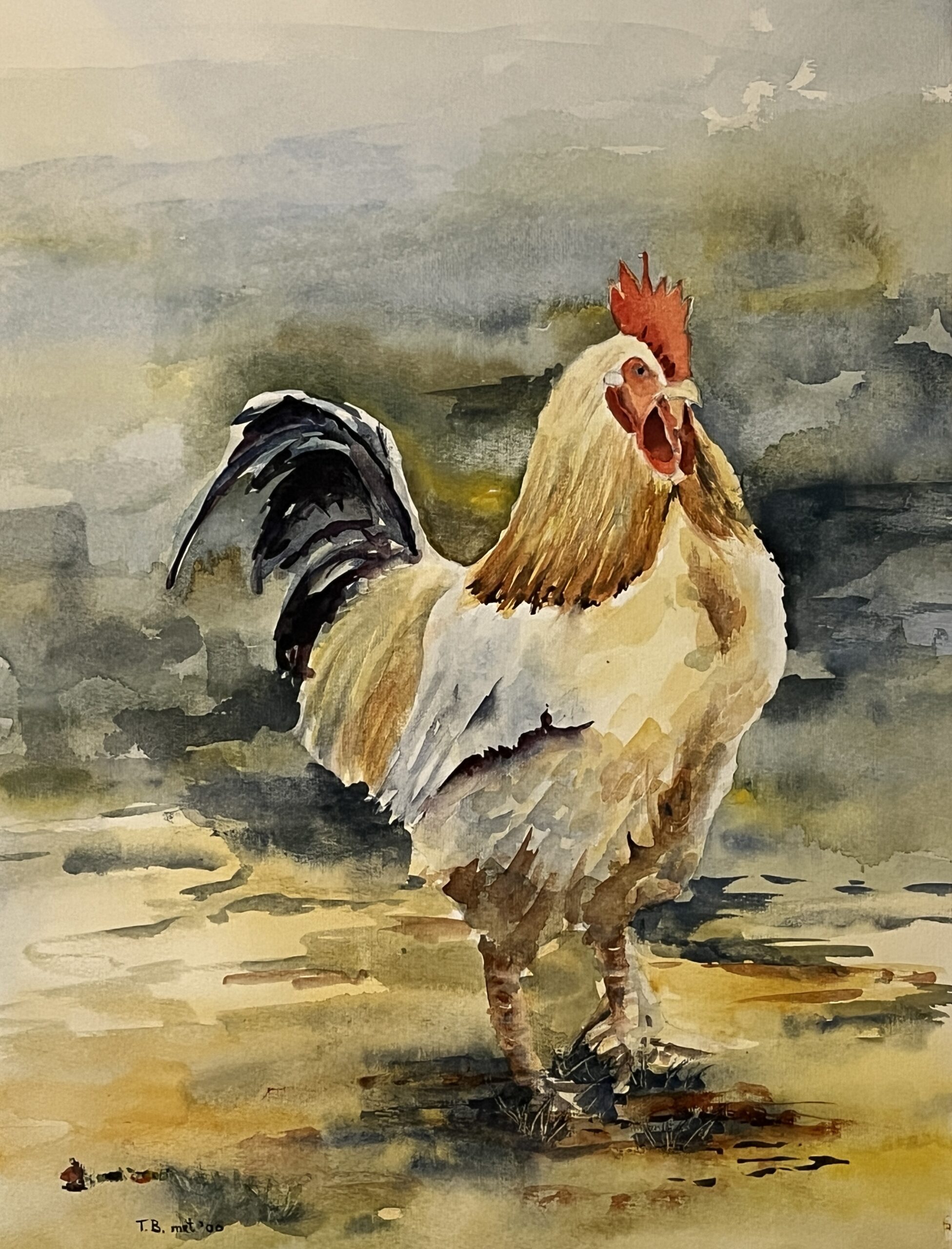 Haan aquarelschilderij