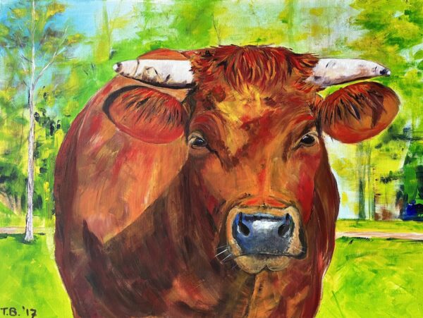 Koe met hoorns 80 x 60 cm