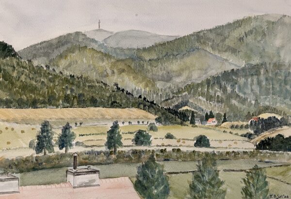 Sauerland aquarelschilderij