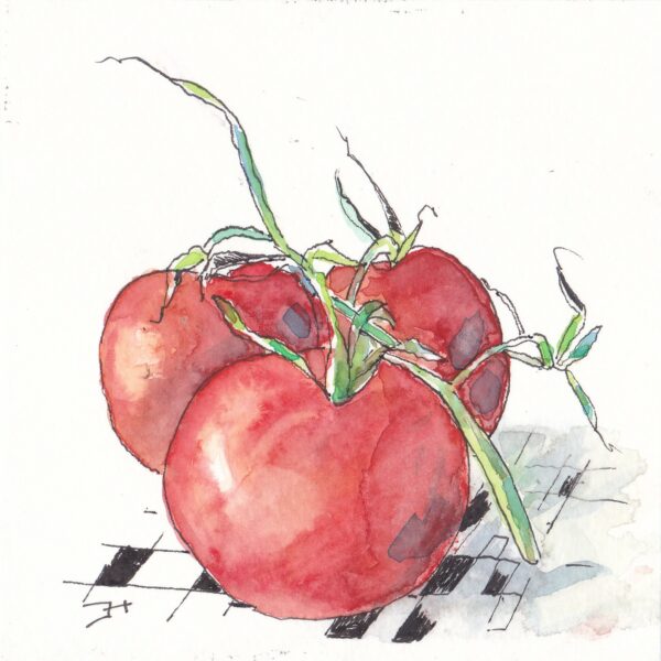 KLEURvanWATER-aquarelkaart TROTSE TOMATEN