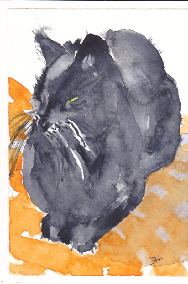 KLEURvanWATER-aquarelkaart POES