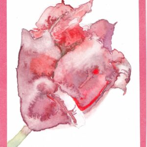 KLEURvanWATER-aquarelkaart TULPEN