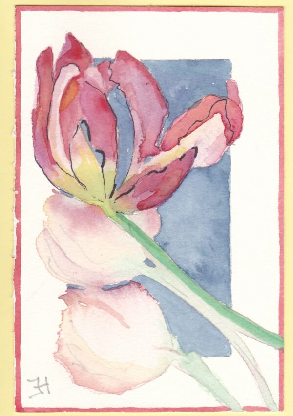 KLEURvanWATER-aquarelkaart TOFFE TULPEN
