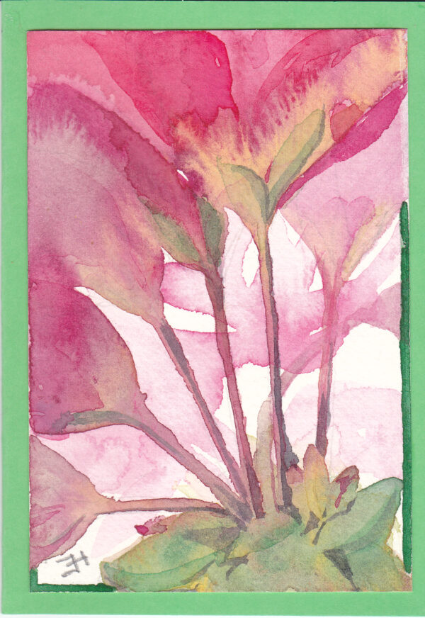 KLEURvanWATER-aquarelkaart ZOMER