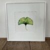 Aquarel Ginkgo