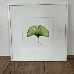 Aquarel Ginkgo