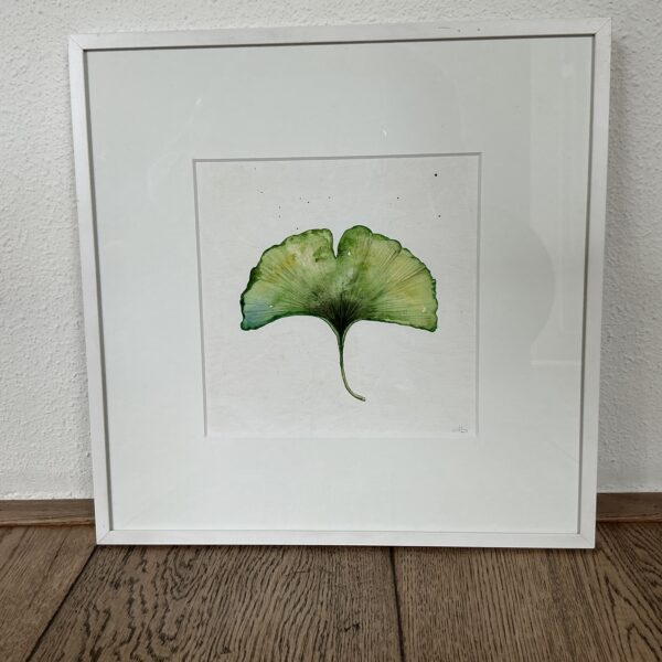 Aquarel Ginkgo