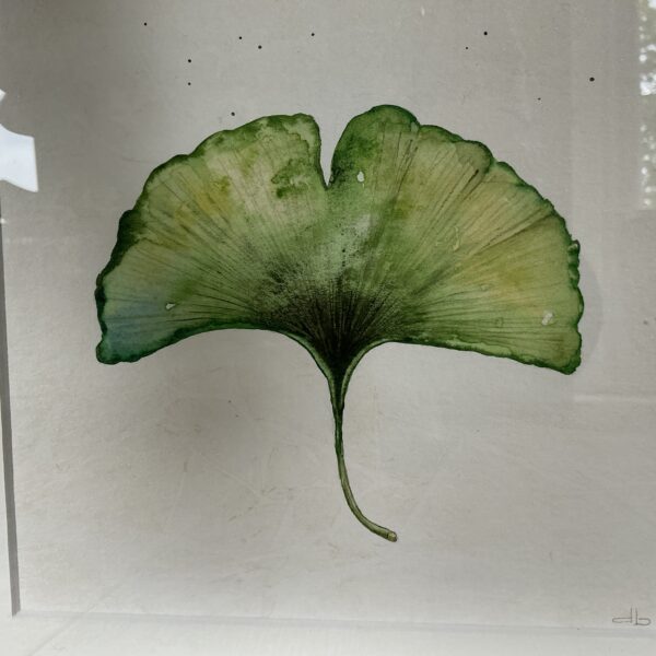 Aquarel schilderij Ginkgo blad - Afbeelding 2