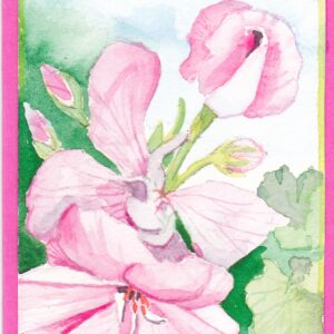 KLEURvanWATER-aquarelkaart ZOMERBLOEM