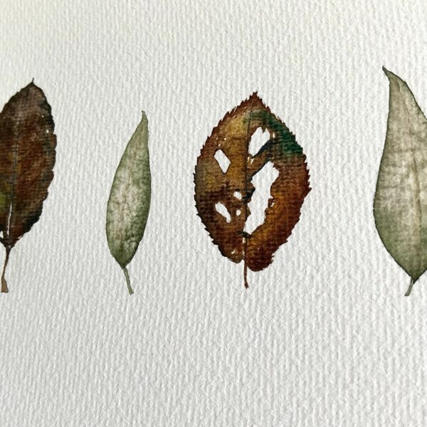 aquarel Leafs - Afbeelding 3