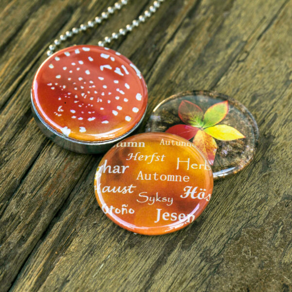 Fotomedaillon ketting/medaillon ketting met close up foto`s van herfst in rood geel en oranje. Roest vrij stalen ketting,rvs medaillon,roestvrij staal medaillon. Voor het dicht bij je dragen van je favoriete foto.