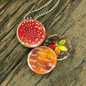 Hersfst medaillon ketting,Fotomedaillon ketting/medaillon ketting met close up foto`s van herfst in rood geel en oranje. Roest vrij stalen ketting,rvs medaillon,roestvrij staal medaillon. Voor het dicht bij je dragen van je favoriete foto.