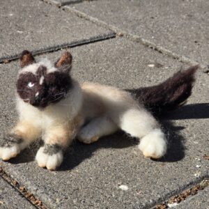 Naaldvilten kat ragdoll.