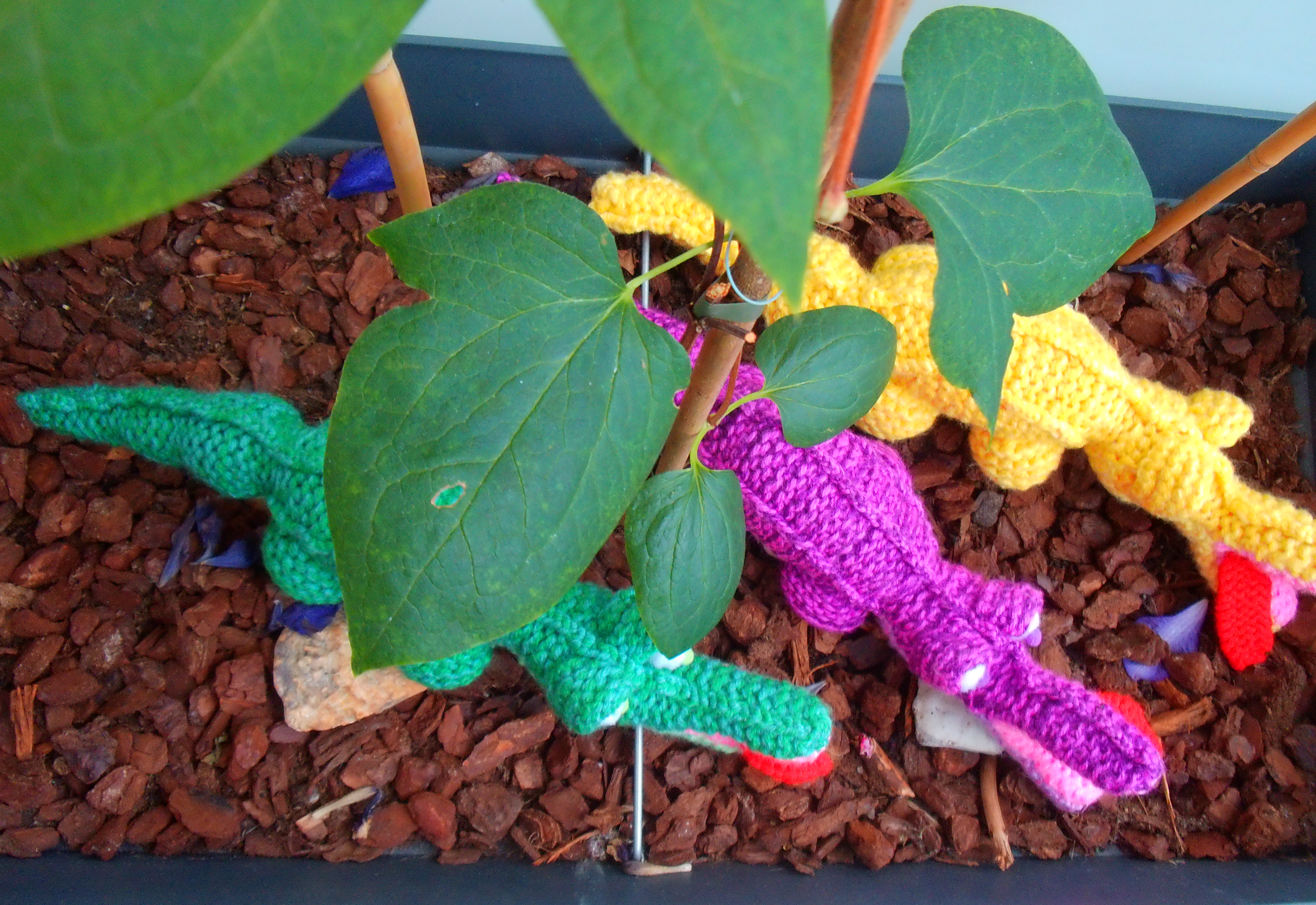 Schattige Gekleurde Krokodillen voor Kinderen – Perfect als Speelgoed of Decoratie - Afbeelding 4