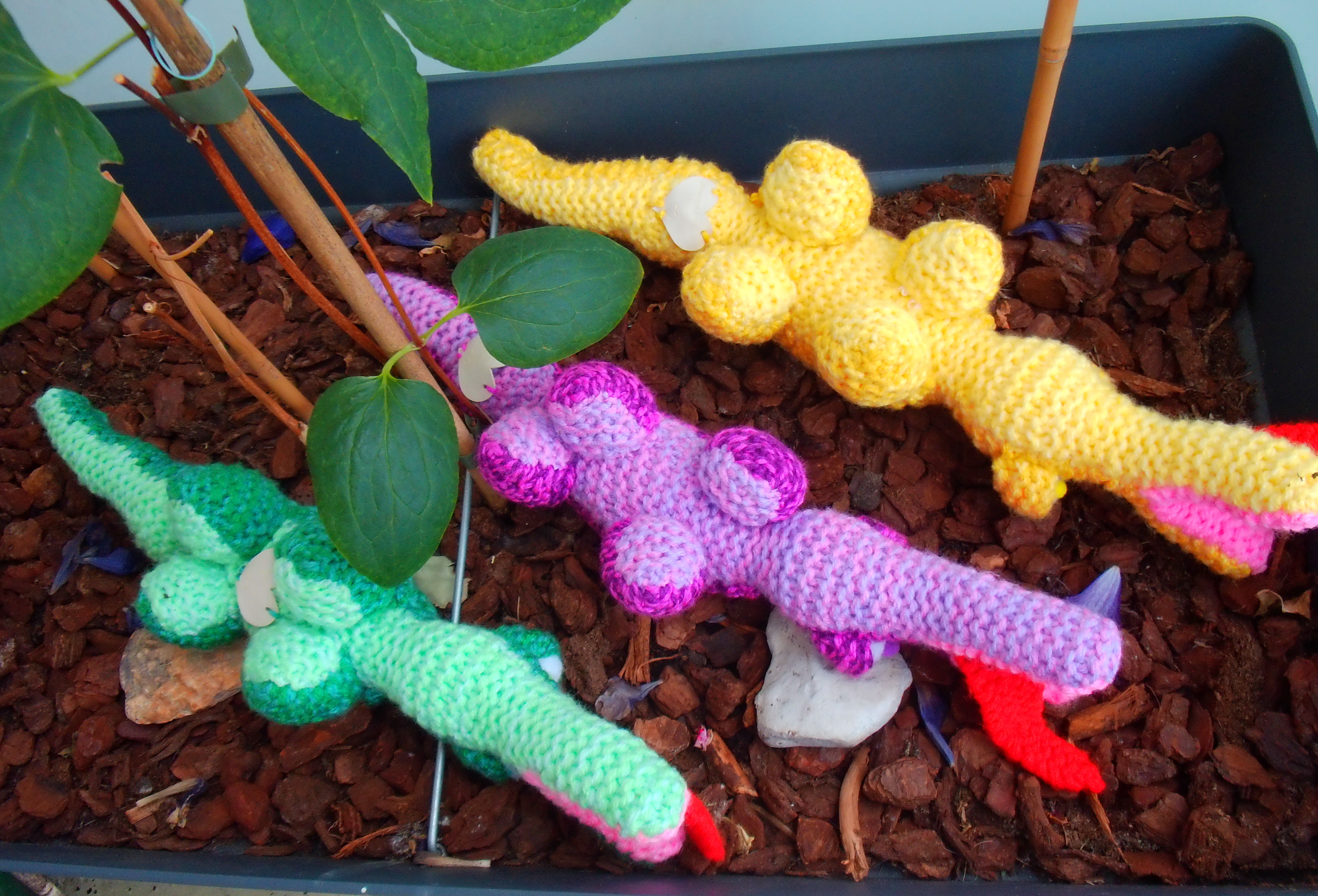 Schattige Gekleurde Krokodillen voor Kinderen – Perfect als Speelgoed of Decoratie - Afbeelding 2