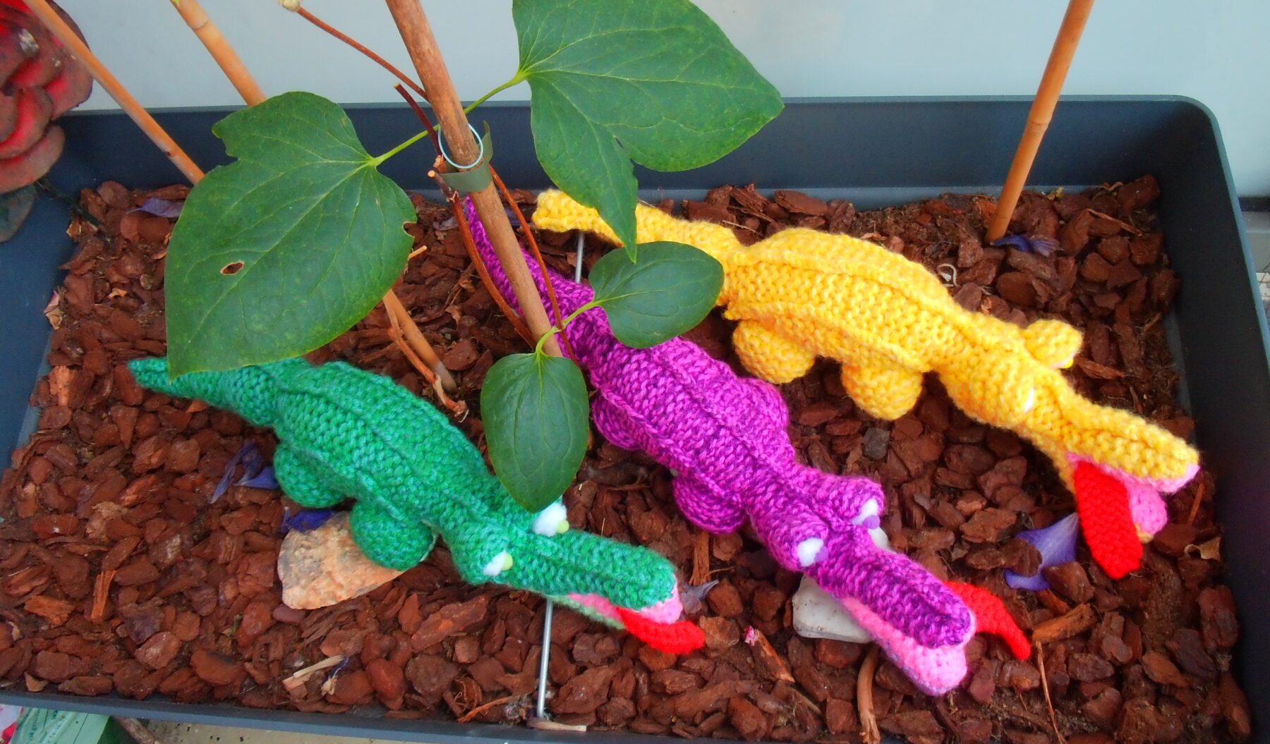 Schattige Gekleurde Krokodillen voor Kinderen – Perfect als Speelgoed of Decoratie