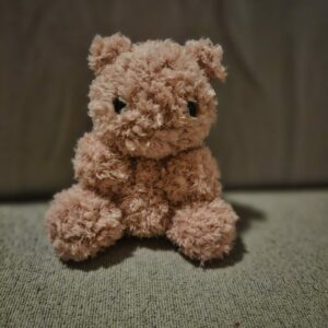 roze pluizige teddybear
