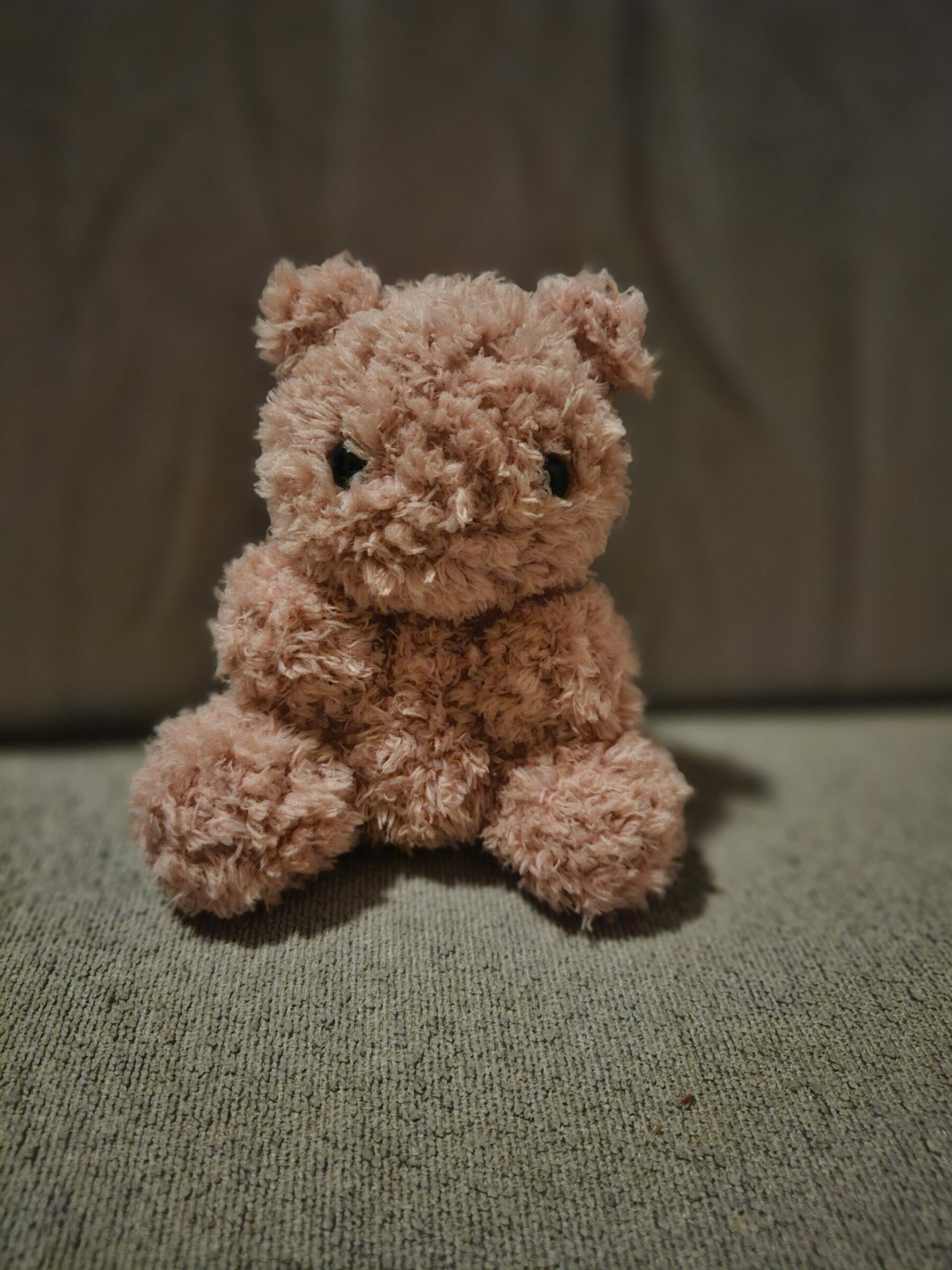 roze pluizige teddybear