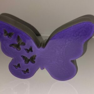 Mooie vlinder in paars/zwart.