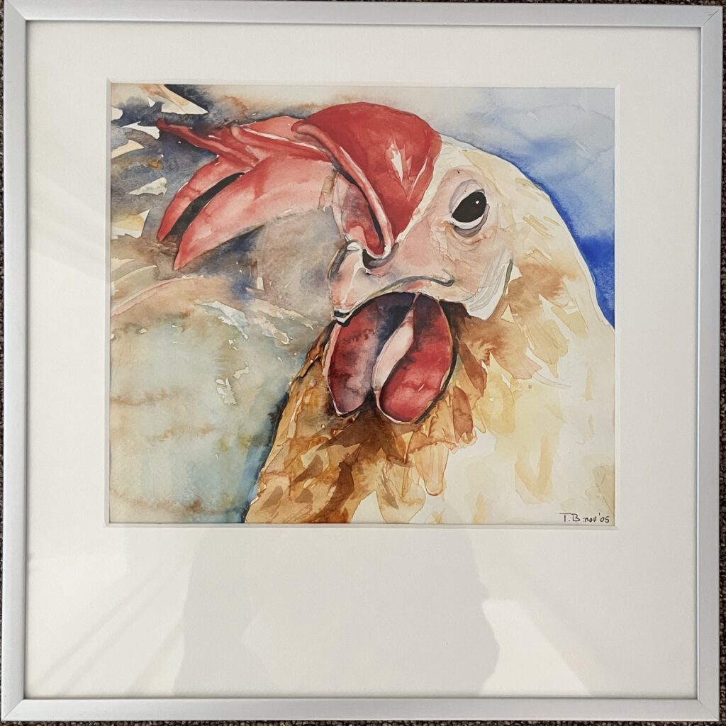 Haan aquarel