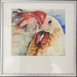 Haan aquarel