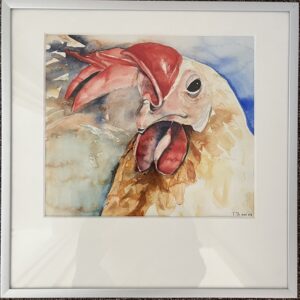Haan aquarel
