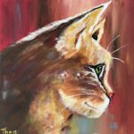 Acryl schilderijtje kat 30x30