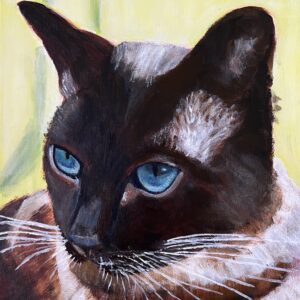 Kat Rindie in opdracht