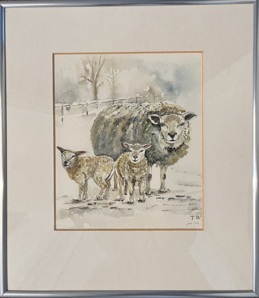 Aquarel schaapjes in de sneeuw