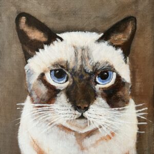 Kat acrylschilderij 23,5 x30 cm op canvas